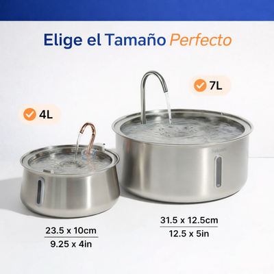 Fuente De Agua Para Gatitos