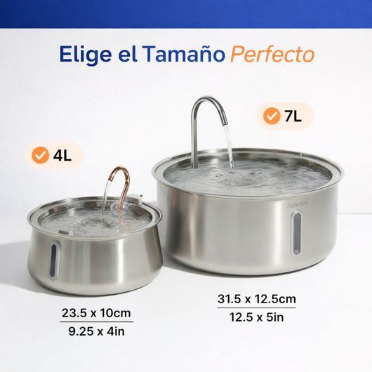 Fuente De Agua Para Gatitos