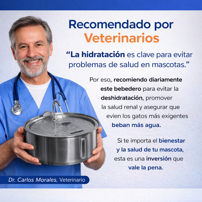 Fuente De Agua Para Gatitos