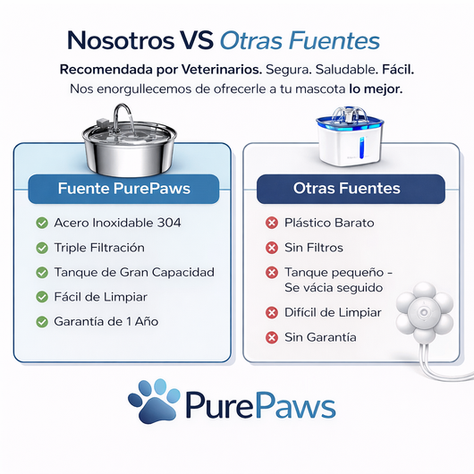 Fuente De Agua Para Gatitos