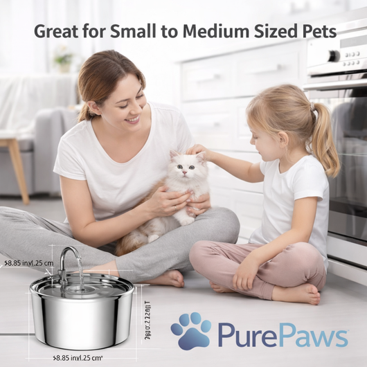 Fuente De Agua Para Gatitos