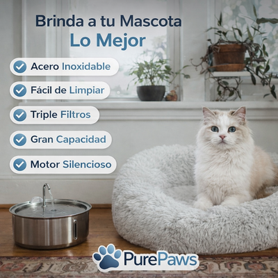 Fuente De Agua Para Gatitos