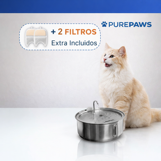 Fuente De Agua Para Gatitos