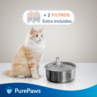 Fuente De Agua Para Gatitos